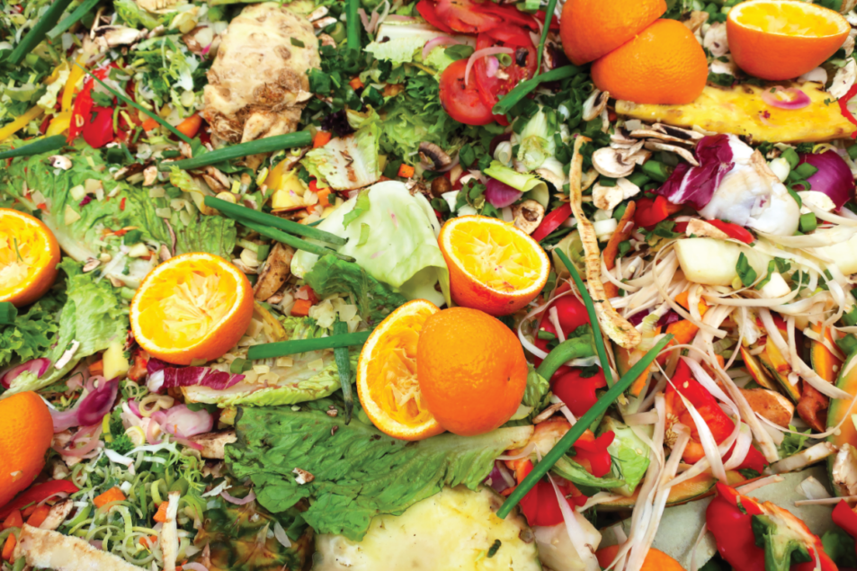 food-waste-is-a-vastly-overlooked-driver-of-climate-change-the