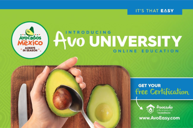 Avo University