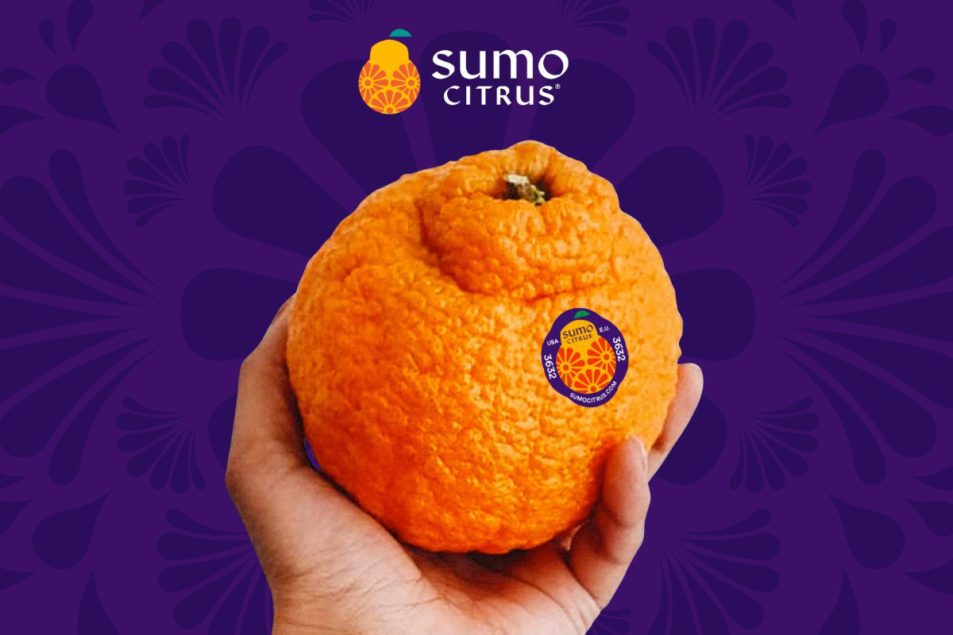 Fresh Sumo Citrus