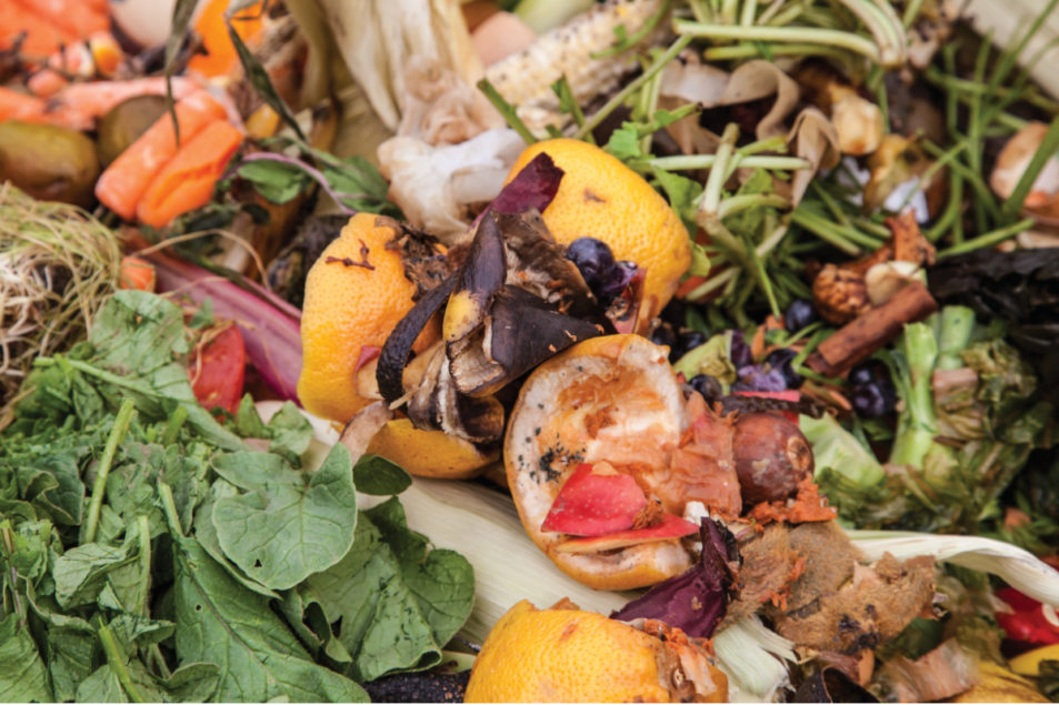 Cutting back on food waste | 2019-06-17 | Supermarket Perimeter