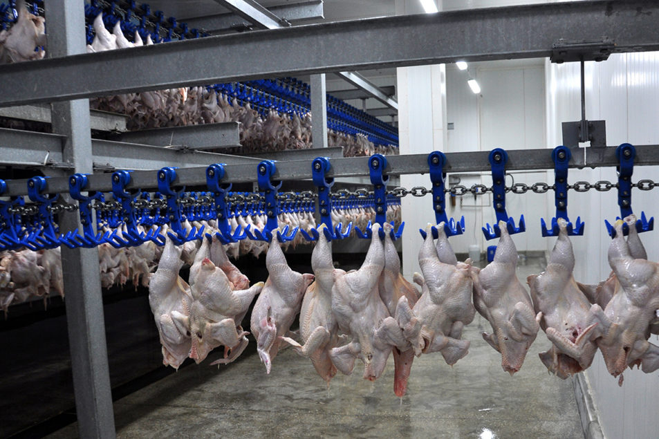 Safety and Other Equipment Worn by Meat and Poultry Production Workers