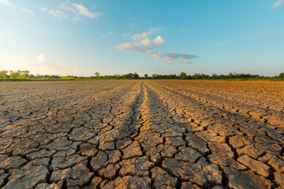 Meteorologist Drew Lerner explains heightened global drought risks ...