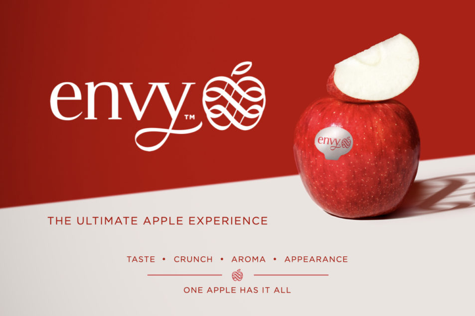 Envy Apple  Shop Fresh Envy Apple at Doorstep Produce