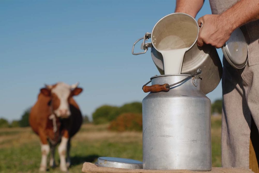 Dairy-cow_worker_adobe.jpg