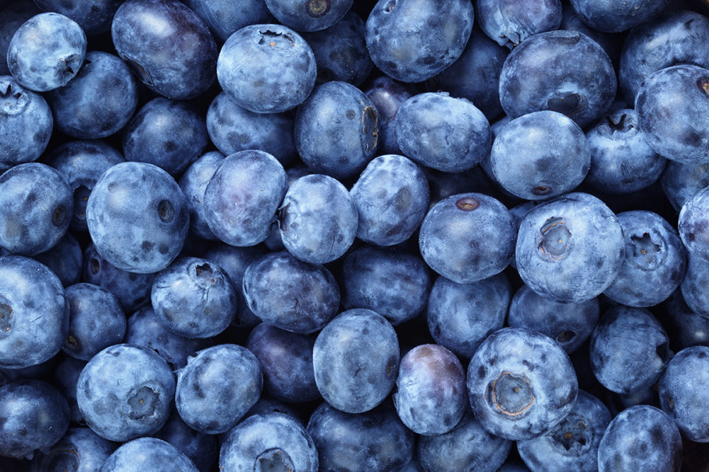 fresh ripe blueberries berries, organic food background